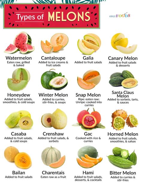 melonstu|24 Types of Melons